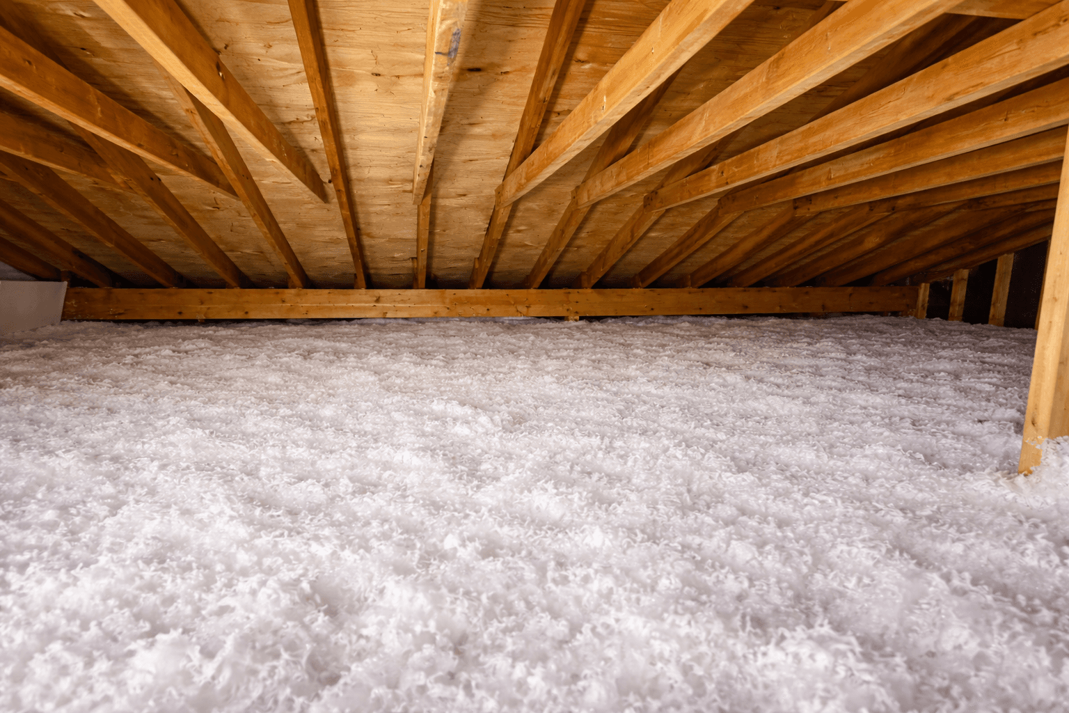 Project-4 — before