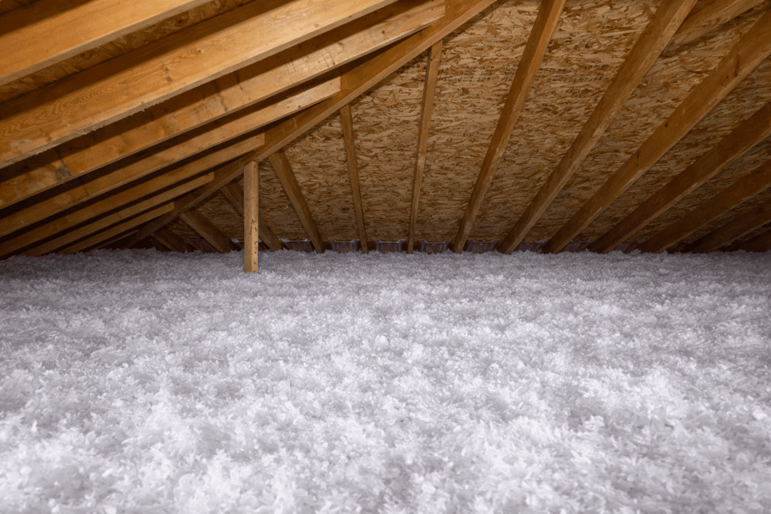 Project-5 — before